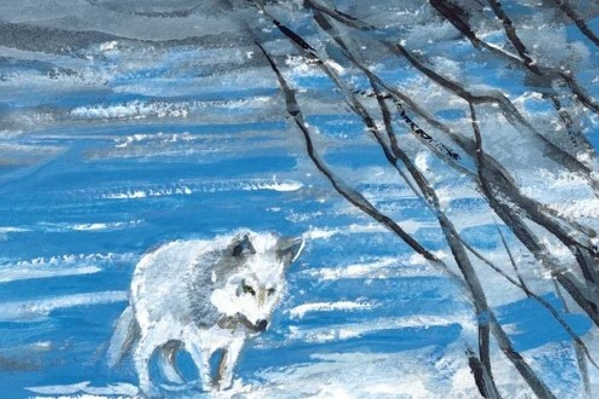 Neve in libreria